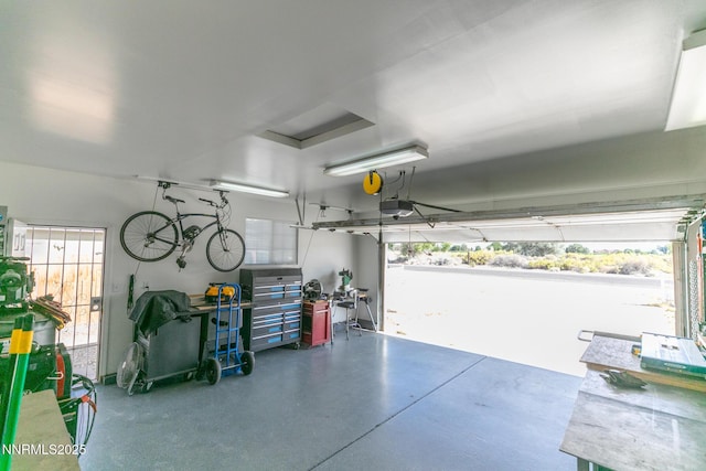 2550 Birch Ln, Fallon, NV 89406 - photo 19
