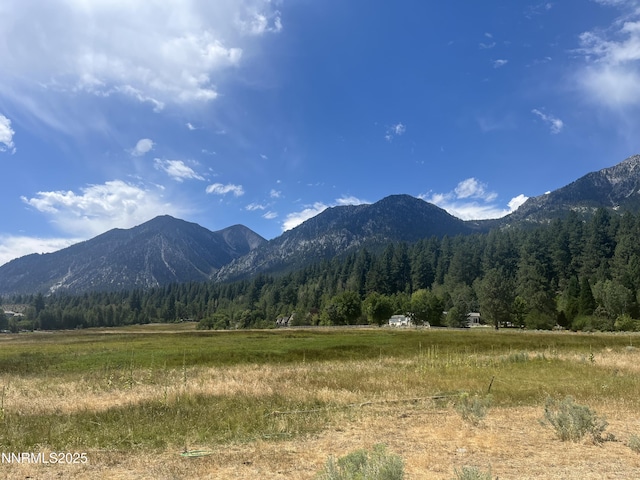 233 Sierra Country Cir, Gardnerville, NV 89460 - photo 4