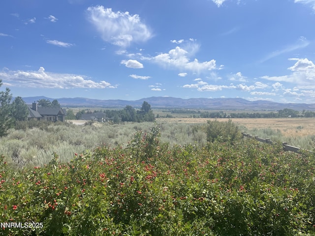 233 Sierra Country Cir, Gardnerville, NV 89460 - photo 7