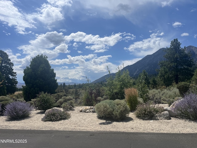 233 Sierra Country Cir, Gardnerville, NV 89460 - photo 10