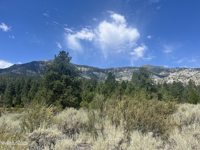 233 Sierra Country Cir, Gardnerville, NV 89460 - photo 12