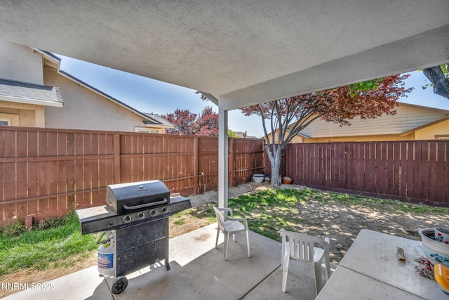 753 Divot Dr, Fernley, NV 89408 - fenced backyard with a grill and a patio