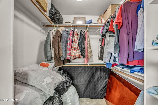 753 Divot Dr, Fernley, NV 89408 - view of spacious closet