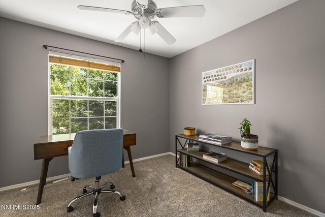 9783 Northrup Dr, Reno, NV 89521 - carpeted office space featuring a ceiling fan and baseboards