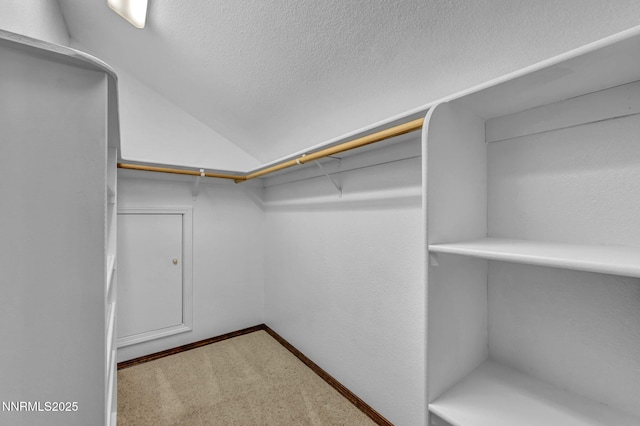 4215 Wild Eagle Ter, Reno, NV 89511 - walk in closet with lofted ceiling and carpet floors