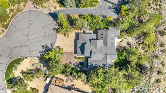 4215 Wild Eagle Ter, Reno, NV 89511 - aerial view