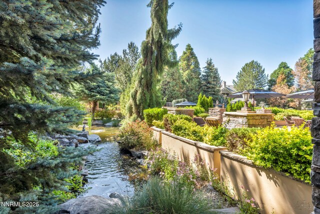 900 S Meadows Pkwy Unit 2623, Reno, NV 89521 - view of yard