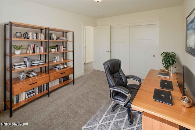 915 Saltbrush Rd, Dayton, NV 89403 - photo 8