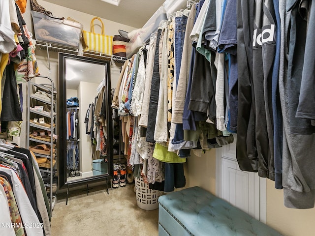 7693 Stone Bluff Way, Reno, NV 89523 - view of spacious closet