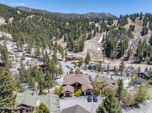 1314 Saint Gallen Ct, Incline Village, NV 89451 - drone / aerial view of a mountain backdrop and a heavily wooded area