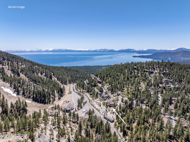 1314 Saint Gallen Ct, Incline Village, NV 89451 - aerial view of a forest and a water and mountain view