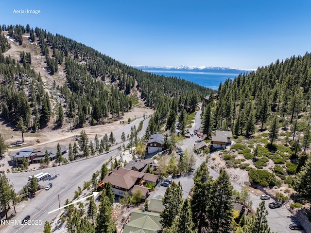1314 Saint Gallen Ct, Incline Village, NV 89451 - aerial overview of property's location with a forest and a mountainous background
