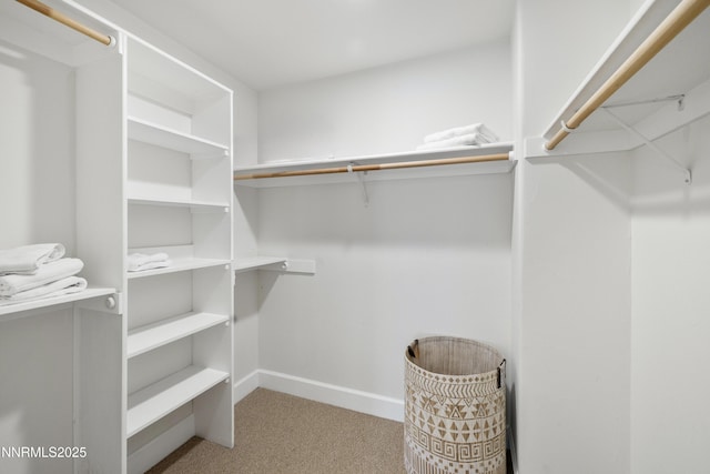 1314 Saint Gallen Ct, Incline Village, NV 89451 - walk in closet featuring carpet