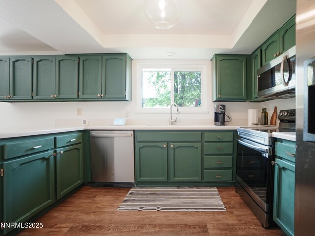 5026 Snowy Mountain Dr, Winnemucca, NV 89445 - kitchen featuring appliances with stainless steel finishes, green cabinets, a sink, and a raised ceiling