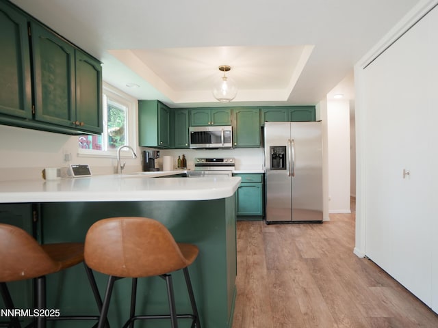 5026 Snowy Mountain Dr, Winnemucca, NV 89445 - kitchen featuring green cabinetry, stainless steel appliances, a tray ceiling, and a peninsula