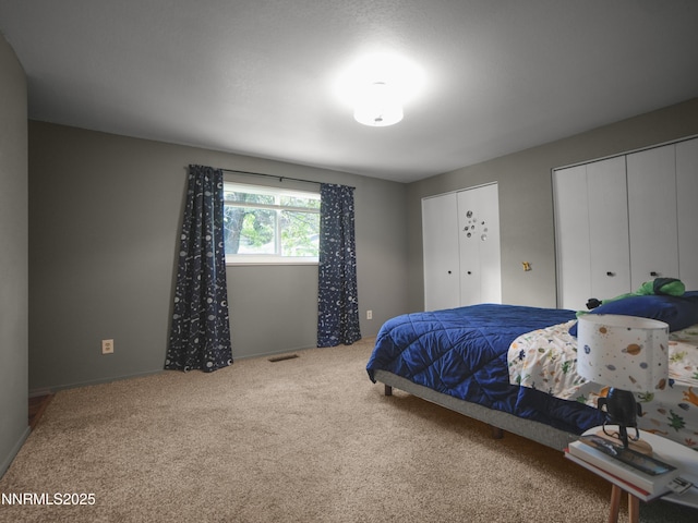 5026 Snowy Mountain Dr, Winnemucca, NV 89445 - bedroom with two closets and carpet floors