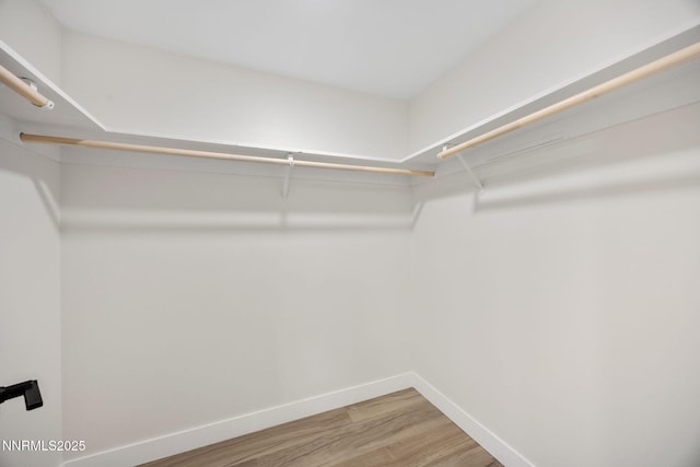 1901 S Marsh Ave, Reno, NV 89509 - walk in closet with light wood-style floors