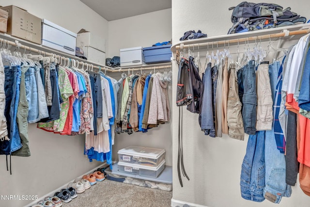 1771 Walnut Dr, Fernley, NV 89408 - view of walk in closet