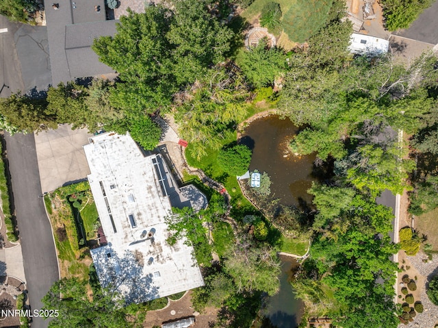 1405 Dartmouth Dr, Reno, NV 89509 - bird's eye view