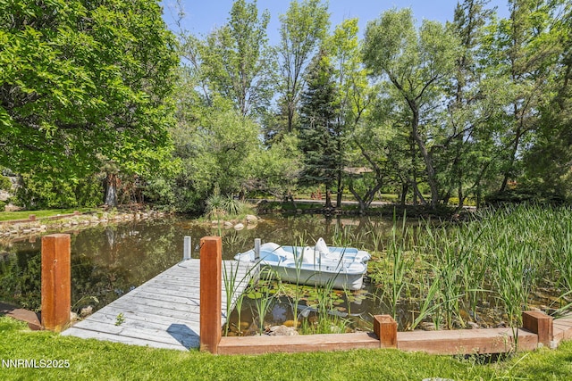 1405 Dartmouth Dr, Reno, NV 89509 - dock featuring a water view