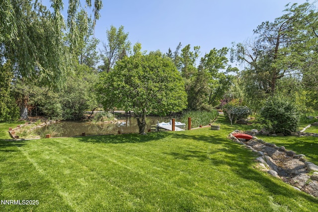 1405 Dartmouth Dr, Reno, NV 89509 - view of grassy yard