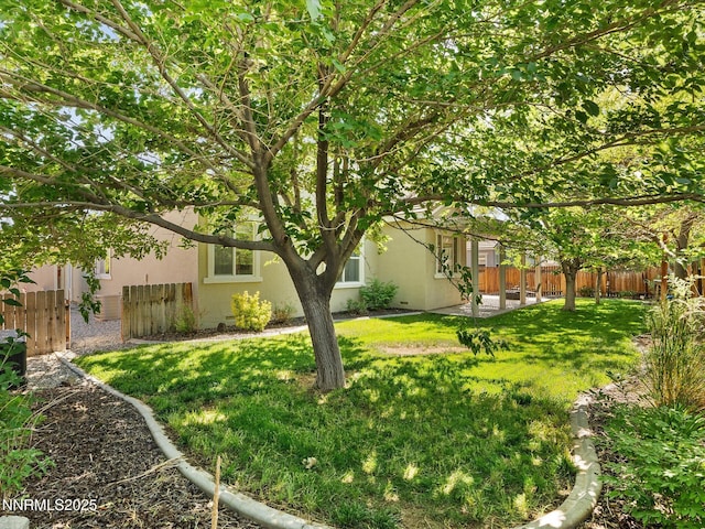 2814 S Fork Rd, Fernley, NV 89408 - view of yard