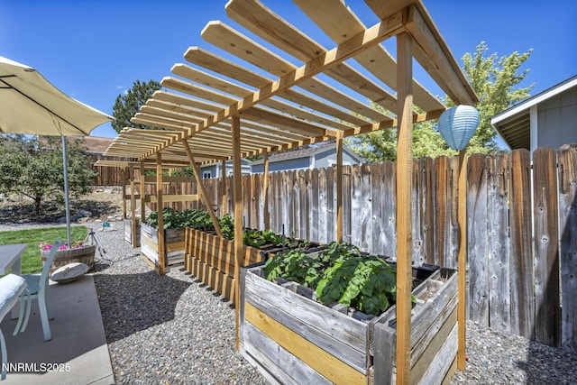 1416 Sally Ln, Gardnerville, NV 89460 - view of patio / terrace with a vegetable garden and a pergola