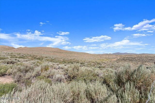 10705 Silver Spur Dr, Reno, NV 89508 - photo 30