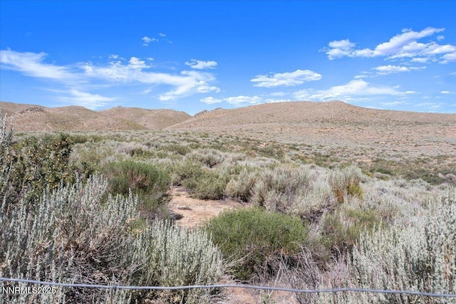 10705 Silver Spur Dr, Reno, NV 89508 - photo 31