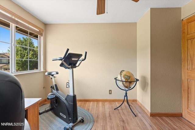 4492 Trenton Ct, Sparks, NV 89436 - workout room with light wood finished floors and ceiling fan