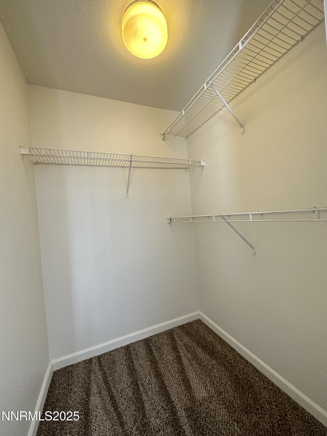 200 Talus Way Unit 434, Reno, NV 89503 - spacious closet with carpet