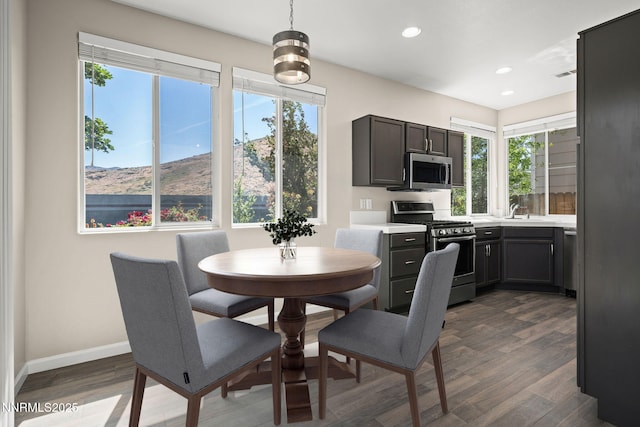 3833 Herons Landing Dr, Reno, NV 89502 - photo 10
