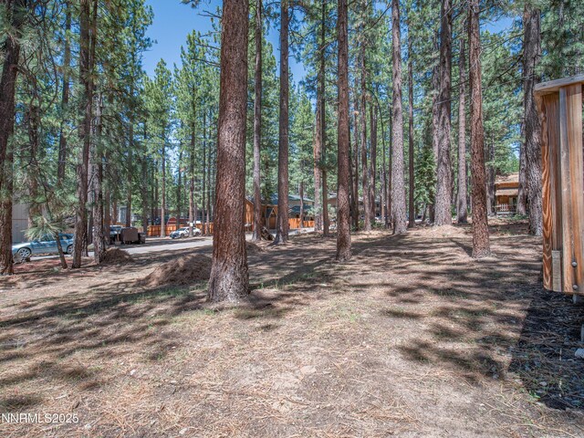 3790 Stewart Way S, Lake Tahoe, CA 96150 - view of yard