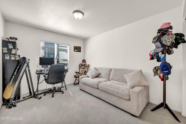 17533 Javalina Ct, Reno, NV 89508 - home office with carpet flooring and a textured ceiling