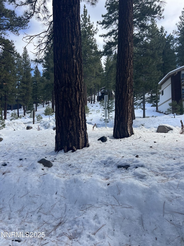 333 Ski Way Unit 253, Incline Village, NV 89451 - photo 2