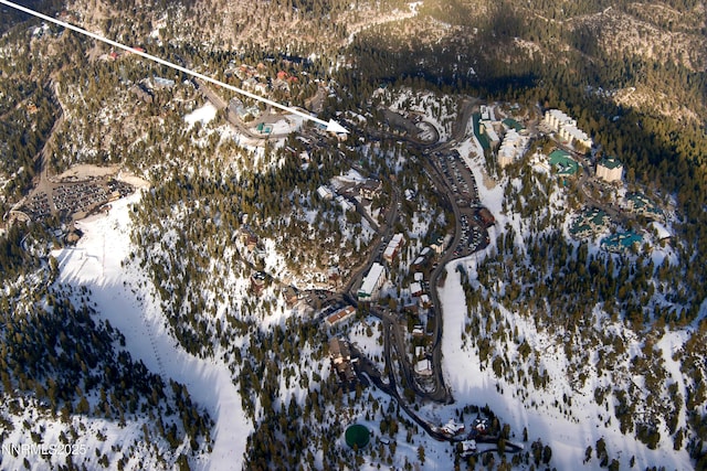 340 Quaking Aspen Ln # C, Stateline, NV 89449 - view of snowy aerial view