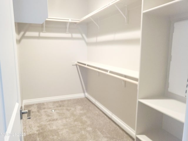 4048 Cold Spgs, Reno, NV 89508 - walk in closet featuring carpet