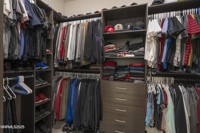 15058 Iron River Dr, Reno, NV 89521 - view of walk in closet