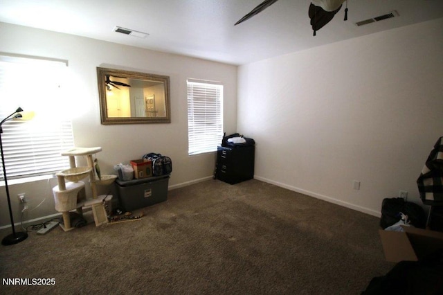 7378 Silver Dawn Dr, Reno, NV 89506 - misc room featuring ceiling fan and carpet floors