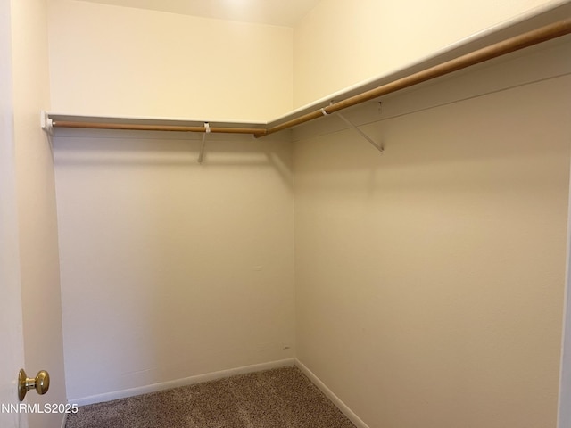 555 E Patriot Blvd, Reno, NV 89511 - spacious closet featuring carpet floors