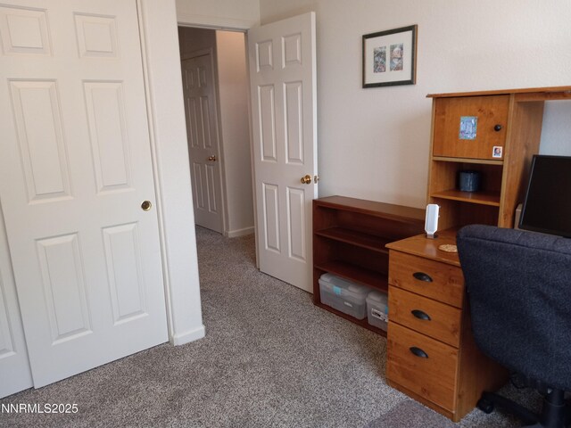 831 W Golden Valley Rd, Reno, NV 89506 - photo 24