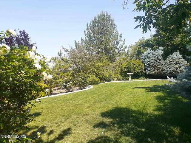 831 W Golden Valley Rd, Reno, NV 89506 - photo 28