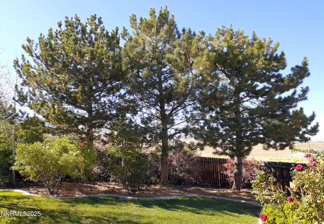 831 W Golden Valley Rd, Reno, NV 89506 - photo 37