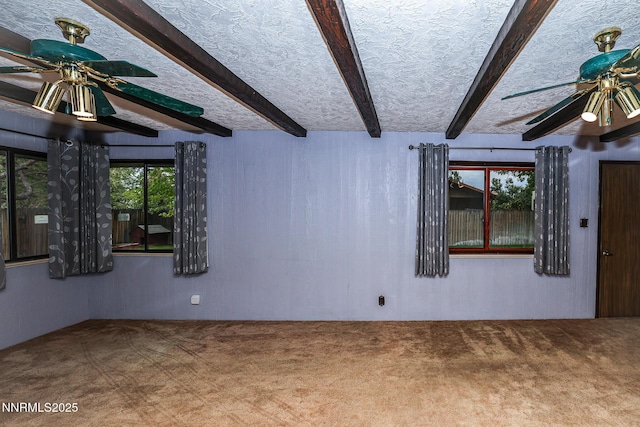 411 Pearl St, Yerington, NV 89447 - photo 24
