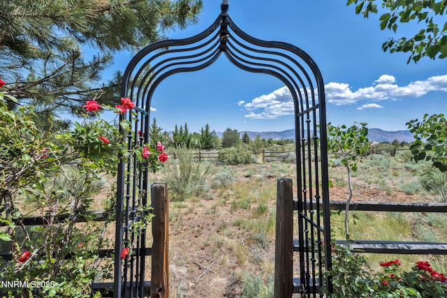 14210 Wild Quail Ct, Reno, NV 89511 - view of yard featuring a mountain view