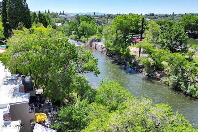 1308 Jones St, Reno, NV 89503 - drone / aerial view