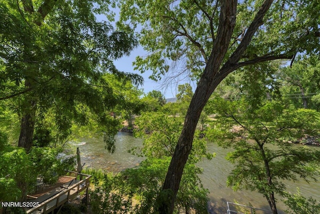 1308 Jones St, Reno, NV 89503 - water view