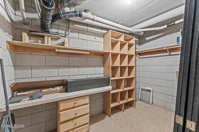 1308 Jones St, Reno, NV 89503 - view of below grade area
