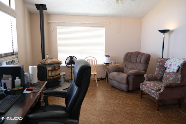 461 Debbie Dr, Walker Lake, NV 89415 - home office with healthy amount of natural light and a textured ceiling