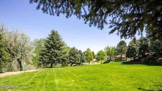 1169 Wagon Wheel Cir, Reno, NV 89503 - view of green lawn